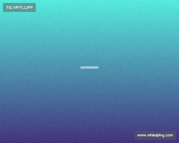 精英赛事直播视频在线观看