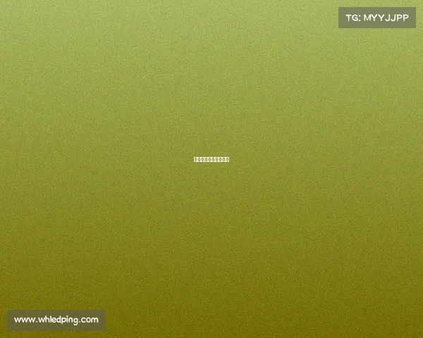 韩国举办过的大型赛事